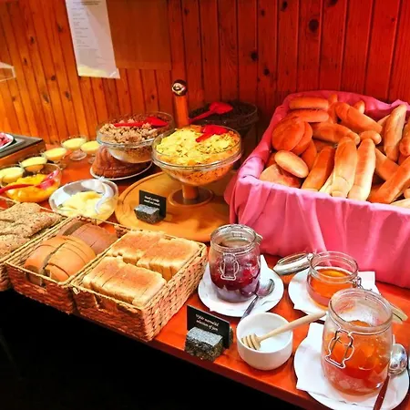 فندق Hotel Harrachov Inn