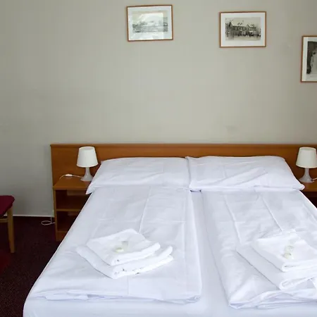 Hotel Harrachov Inn 3* هاراشوف