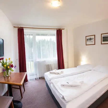 Hotel Harrachov Inn ホテル ハルラホフ