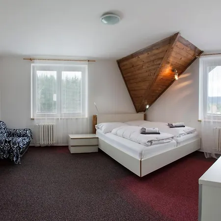 Hotel Harrachov Inn 3*