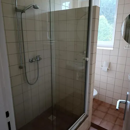 فندق Hotel Harrachov Inn 3*