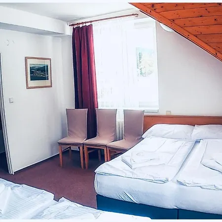 Hotel Harrachov Inn ホテル 3*