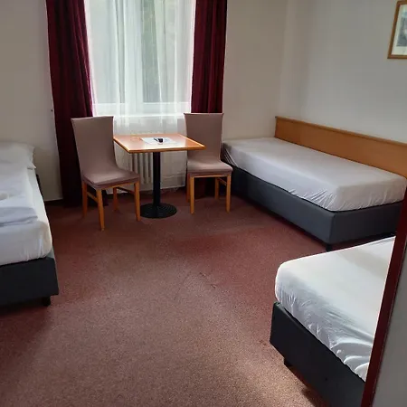 Hotel Harrachov Inn ホテル 3*