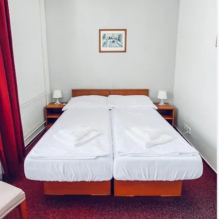 Hotel Harrachov Inn 3* ハルラホフ