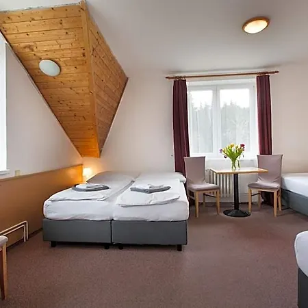 Hotel Harrachov Inn 3*