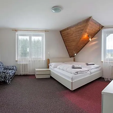 Hotel Harrachov Inn ホテル
