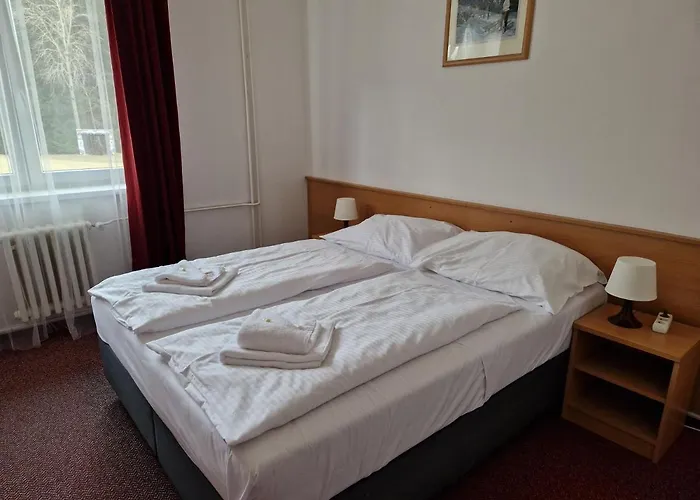 Hotell Hotel Harrachov Inn 3*