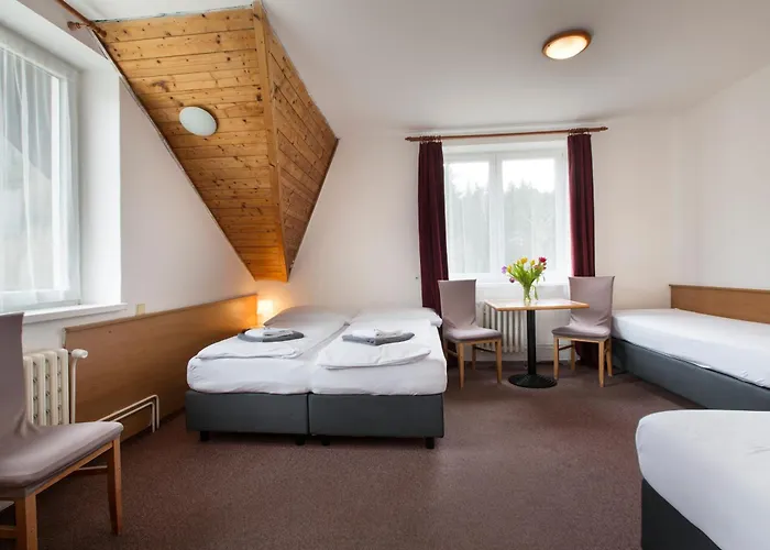 Hotel Harrachov Inn 3* Harrachov