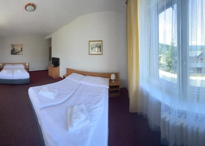 Hotel Harrachov Inn Hotell
