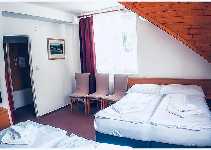 Hotel Harrachov Inn Hotell 3*